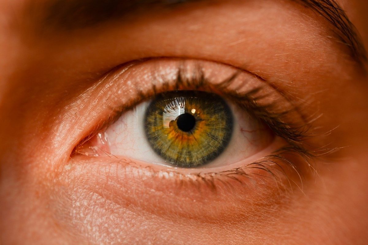 Oczy to wyrafinowany organ. To naturalnie dzięki nim rozróżniamy.